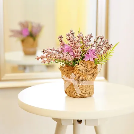 Jadranko 3* زادار