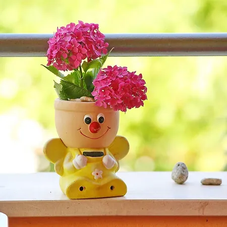 فندق Jadranko 3*